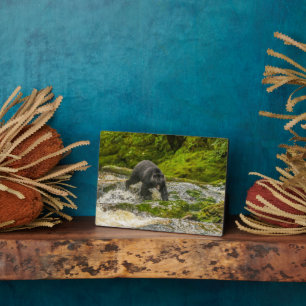 Black Bear Fishing   Qua Creek British Columbia Plaque