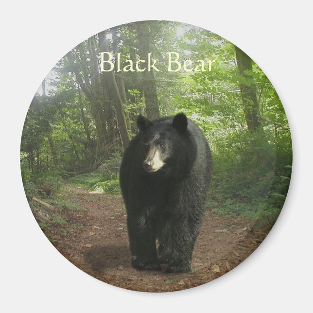BLACK BEAR Forest Nature Magnet (Front)