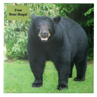 Black Bear - "Free Bear Hugs-Cubby the Black Bear" Tile