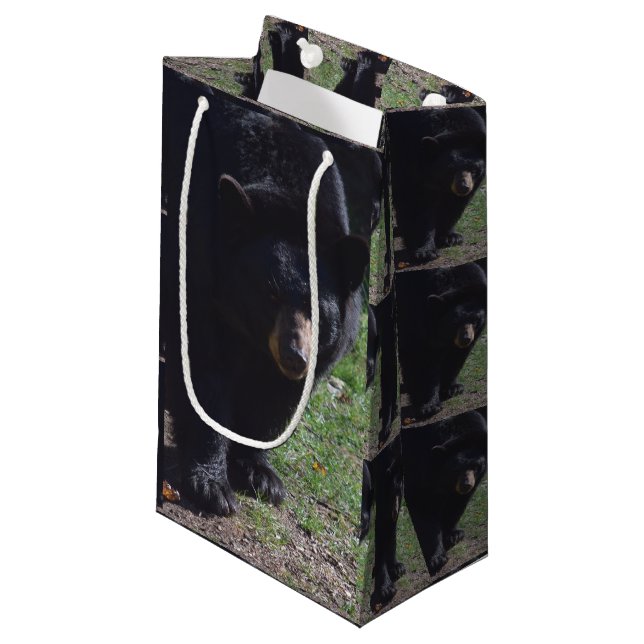 Black Bear Gift Bag (Front Angled)