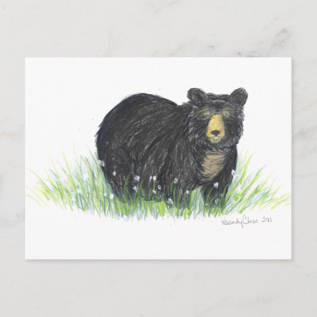 black bear gifts postcard (Front)