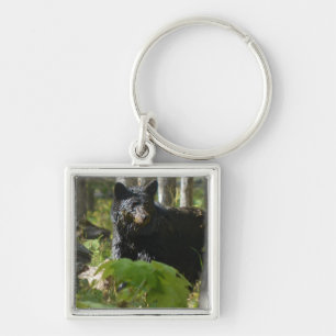 Black Bear Hiding in Forest Wildlife Photo Key Ring