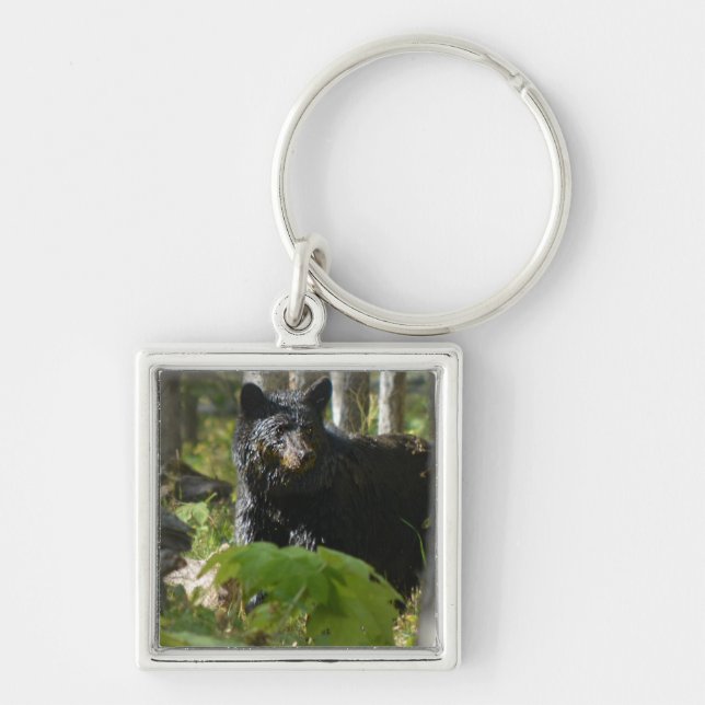Black Bear Hiding in Forest Wildlife Photo Key Ring (Front)