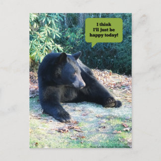 Black Bear - "I think I'll just be happy today! Postcard