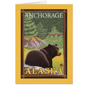 Black Bear in Forest - Anchorage, Alaska