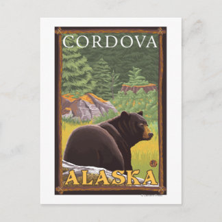 Black Bear in Forest - Cordova, Alaska Postcard