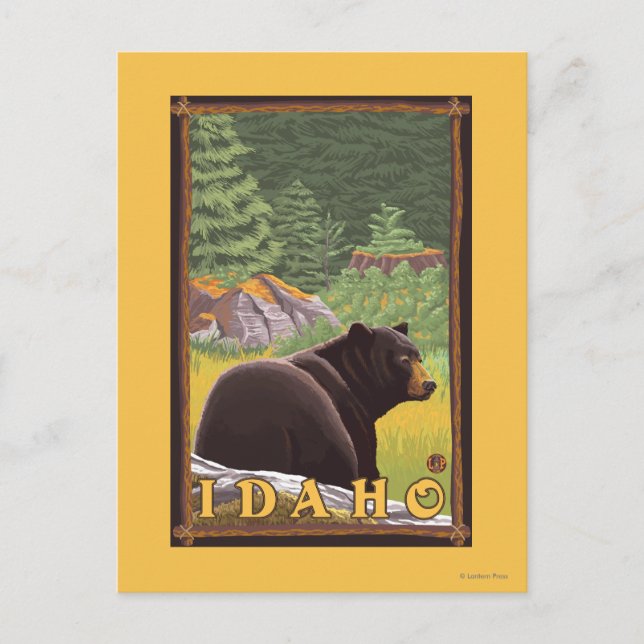 Black Bear in Forest - Idaho Postcard (Front)