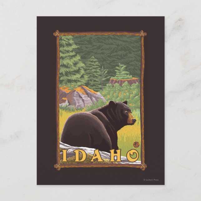 Black Bear in Forest - Idaho Postcard (Front)