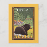 Black Bear in Forest - Juneau, Alaska