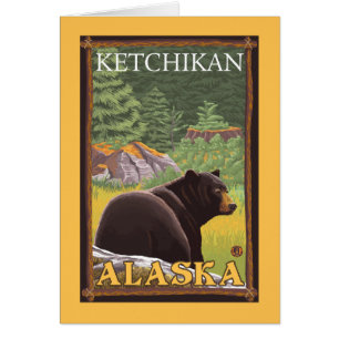 Black Bear in Forest - Ketchikan, Alaska