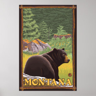 Black Bear in Forest - Montana Poster