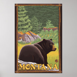 Black Bear in Forest - Montana Poster