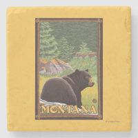 Black Bear in Forest - Montana