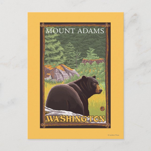 Black Bear in Forest - Mount Adams, Washington Postcard (Front)