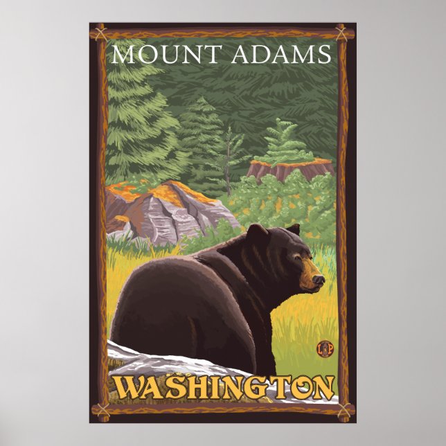 Black Bear in Forest - Mount Adams, Washington Poster (Front)