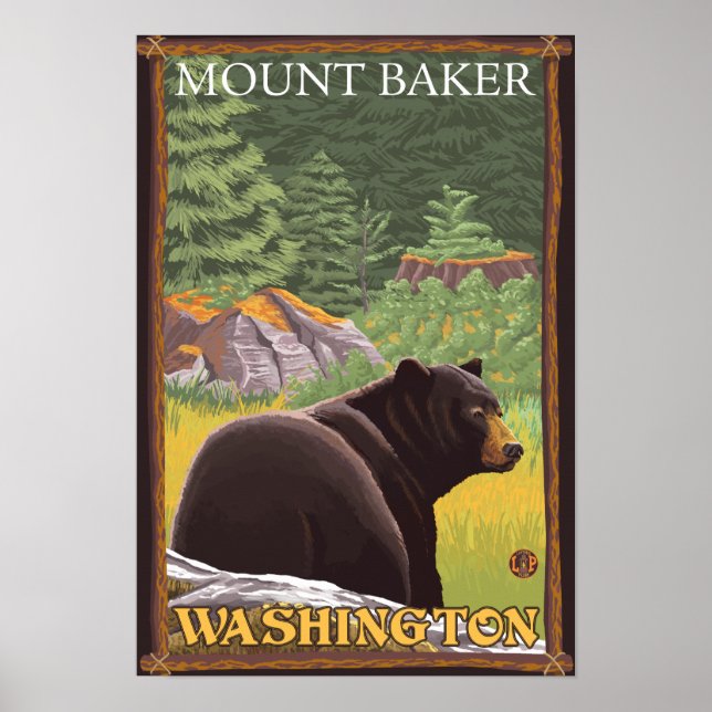 Black Bear in Forest - Mount Baker, Washington Poster (Front)