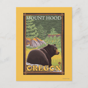 Black Bear in Forest - Mount Hood, Oregon Postcard