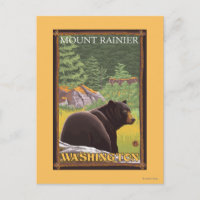 Black Bear in Forest - Mount Rainier, Washington