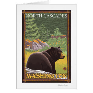 Black Bear in Forest - North Cascades, Washingto