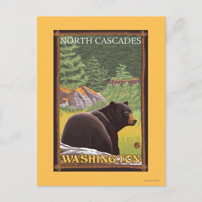 Black Bear in Forest - North Cascades, Washingto Postcard (Front)