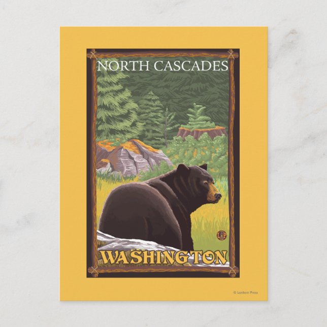 Black Bear in Forest - North Cascades, Washingto Postcard (Front)
