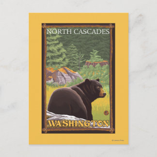 Black Bear in Forest - North Cascades, Washingto Postcard