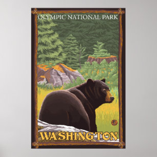 Black Bear in Forest - Olympic Nat'l Park, WA Poster
