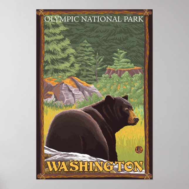 Black Bear in Forest - Olympic Nat'l Park, WA Poster (Front)
