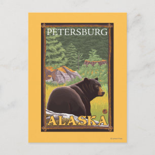 Black Bear in Forest - Petersburg, Alaska Postcard