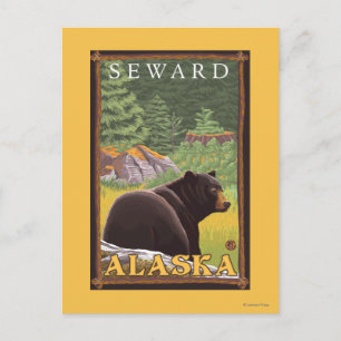 Black Bear in Forest - Seward, Alaska Postcard
