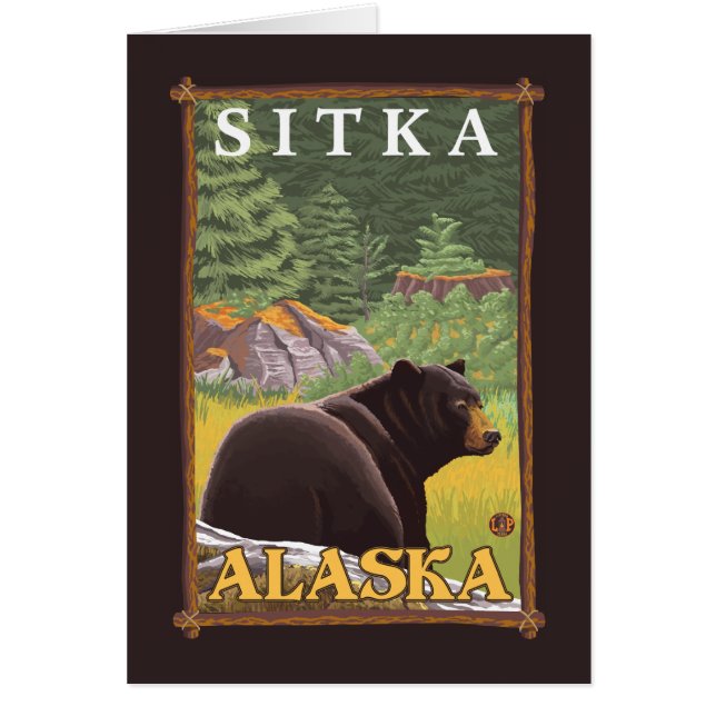 Black Bear in Forest - Sitka, Alaska (Front)