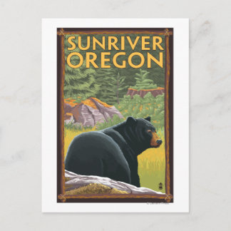 Black Bear in Forest - Sun River, Oregon Postcard