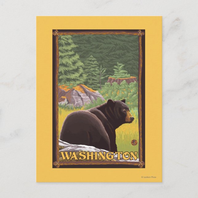 Black Bear in Forest - Washington Postcard (Front)