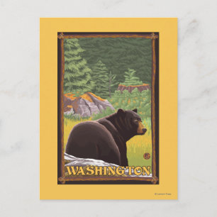 Black Bear in Forest - Washington Postcard