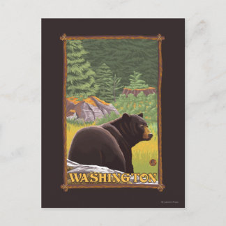 Black Bear in Forest - Washington Postcard