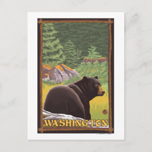Black Bear in Forest - Washington Postcard