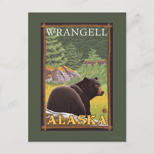 Black Bear in Forest - Wrangell, Alaska Postcard (Front)