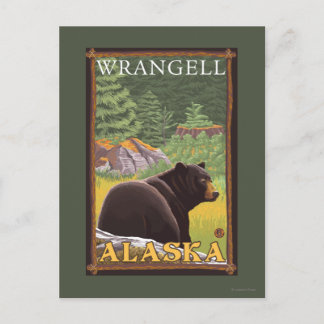 Black Bear in Forest - Wrangell, Alaska Postcard
