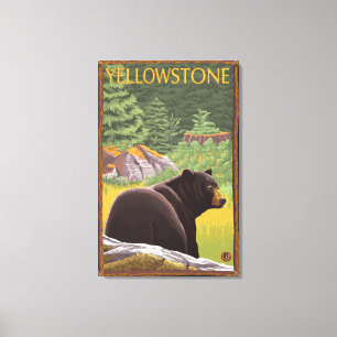 Black Bear in Forest - Yellowstone National Park Canvas Print