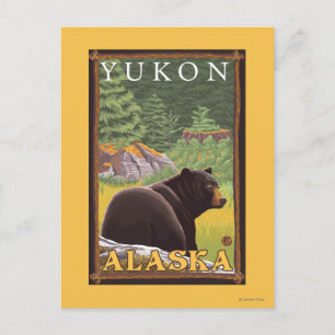 Black Bear in Forest - Yukon, Alaska Postcard