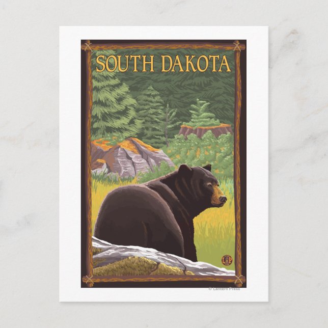 Black Bear in ForestSouth Dakota Postcard (Front)