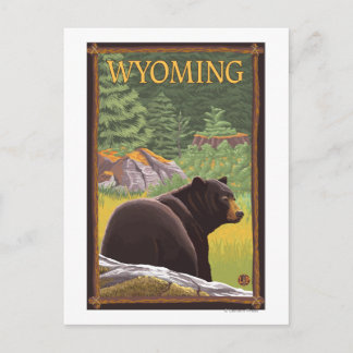 Black Bear in ForestWyoming Postcard