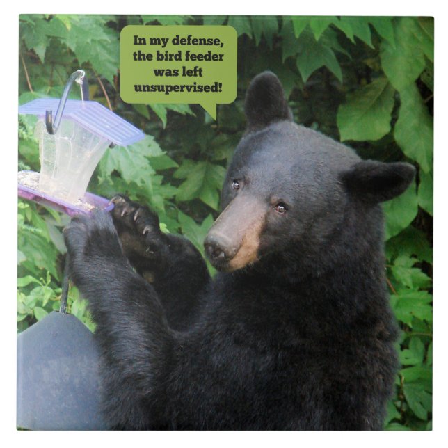 Black Bear - "In my defence..." Ceramic tile  (Front)