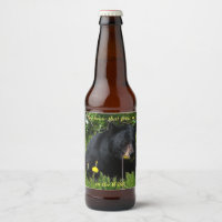 Black Bear in the Wild