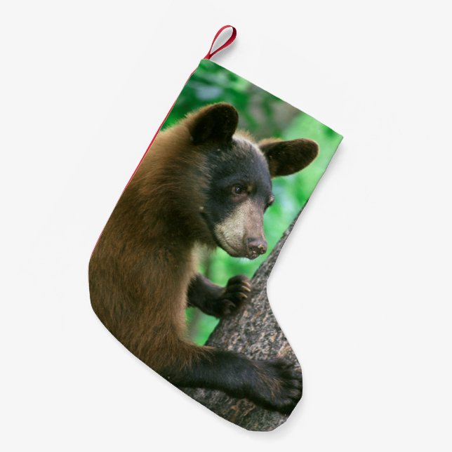 Black Bear in The Woods Small Christmas Stocking (Front (Hanging))