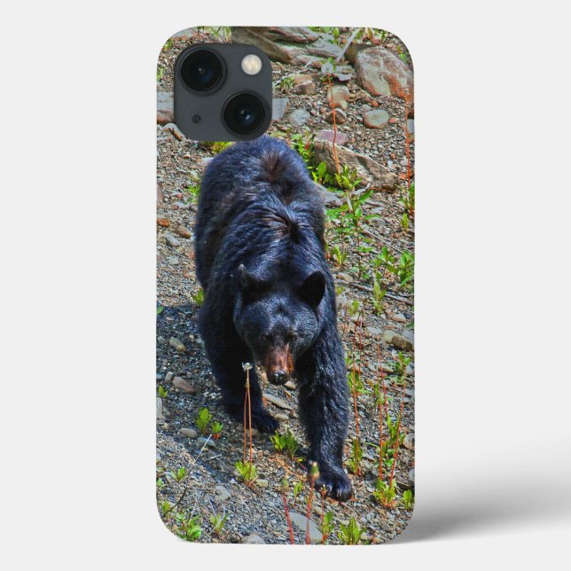 Black Bear in Yukon Wilderness Wildlife Photo Case-Mate iPhone Case (Back)