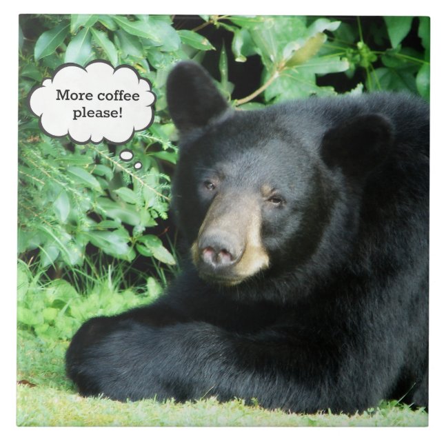 Black Bear - "More Coffee Please"  Tile (Front)