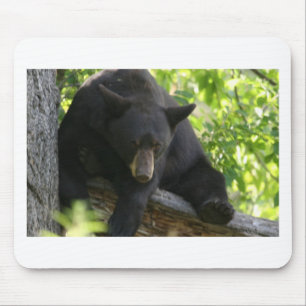 black bear mouse mat