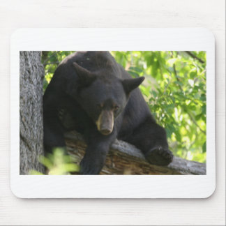 black bear mouse mat