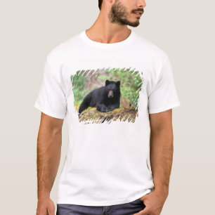 Black bear on an old growth log in the T-Shirt